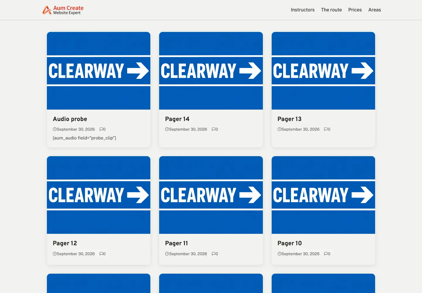 A site running the theme alone