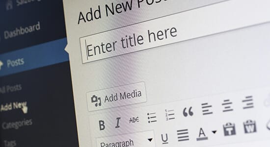 WordPress Themes/Plugins